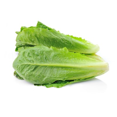 Lettuce Cos