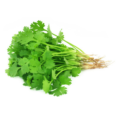 Coriander Leaves - Bunch