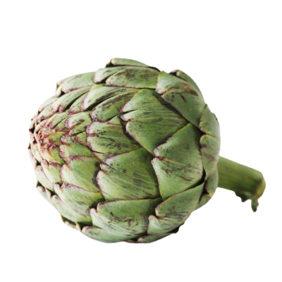 Artichoke