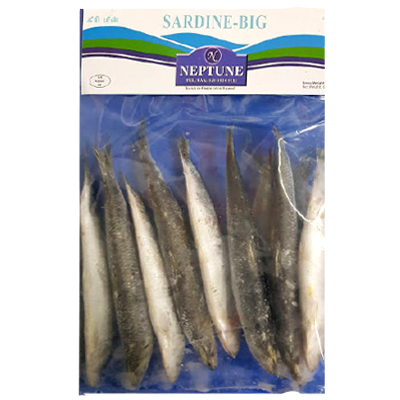 Neptune Sardine-big