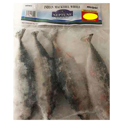 Neptune Indian Mackeral Whole