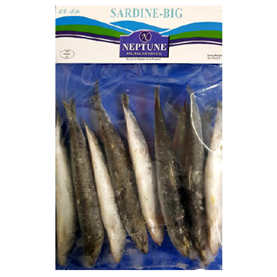 Neptune Sardine-big