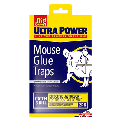 Big Cheese Mouse Glue Traps