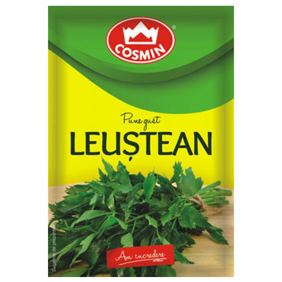 Cosmin Lovage Leustean