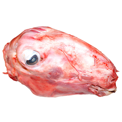 Lamb Head