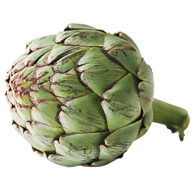 Artichoke