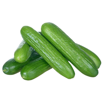 Cucumber Mini