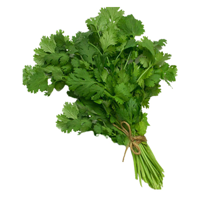 Fresh Coriander