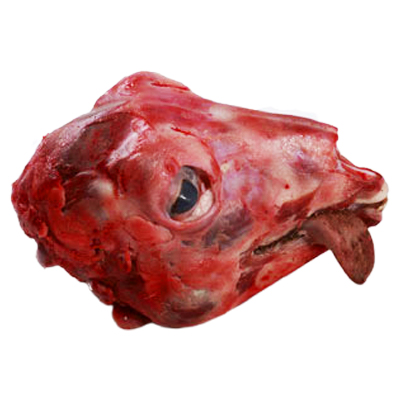 Lamb Head (without Skin)