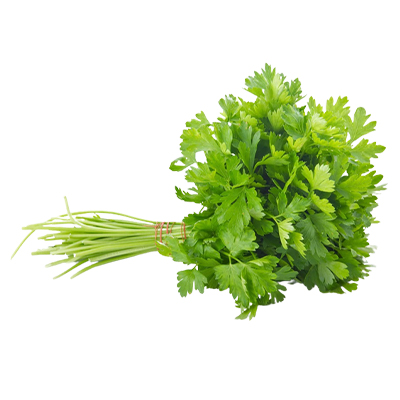 Coriander Leaves - Bunch