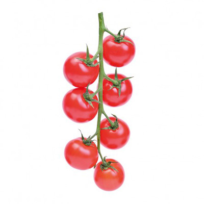 Vine Tomatoes