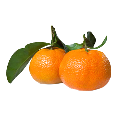 Clementines Leafy