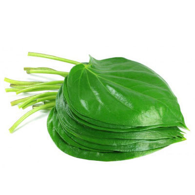 Paan Leaf