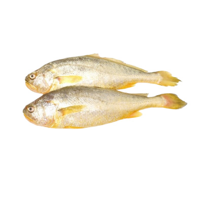 Yellow Croaker Whole