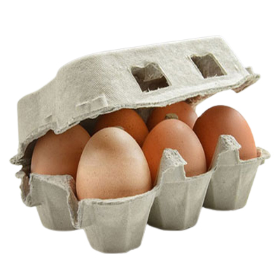 6 Fresh Free Range Eggs