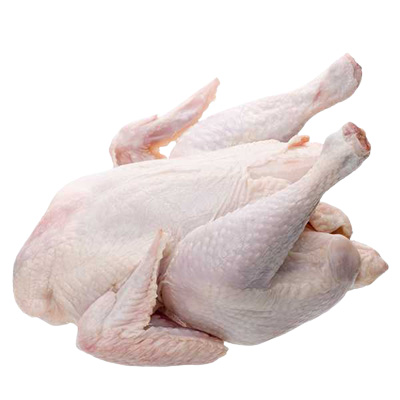 Soft Broiler Chicken