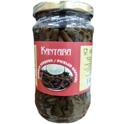 Kantara Gabber Pickled