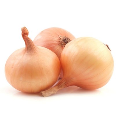 Onion Spanish