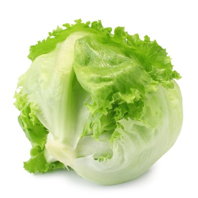 Lettuce Iceberg