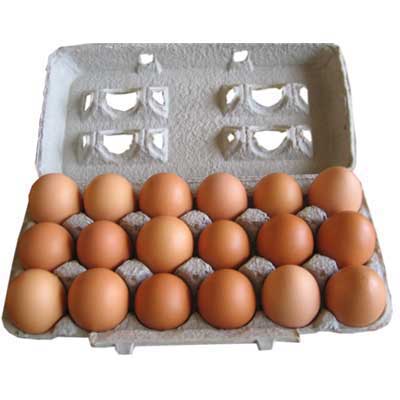 Watsons 18 Fresh Eggs Brown