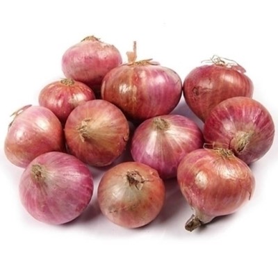 Onion Small