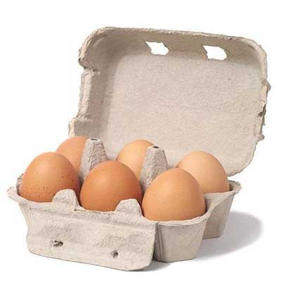 Watsons Organic Eggs