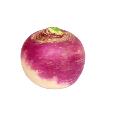 Turnip