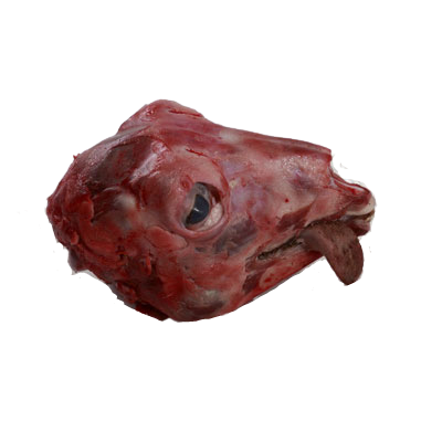 Lamb Head