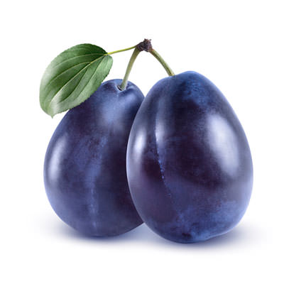 Plum President