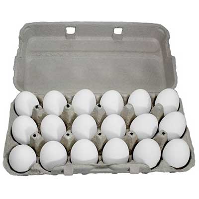 Watsons 18 Fresh Eggs White