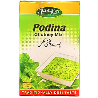 Alamgeer podina chutney mix