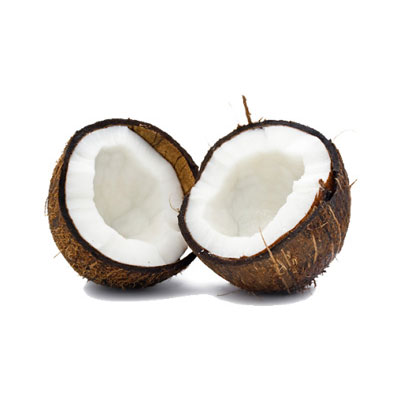 Coconut