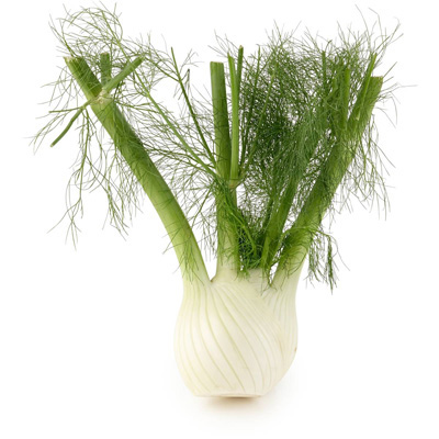 Fennel