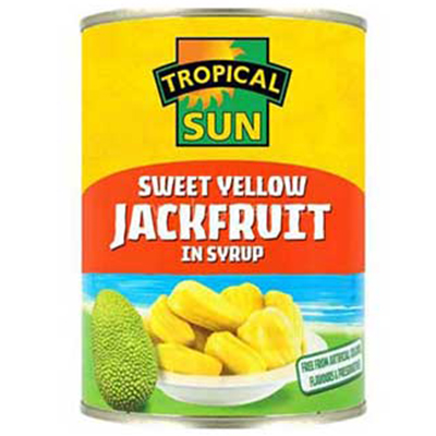 Tropical Sun Jackfruit In Syrup