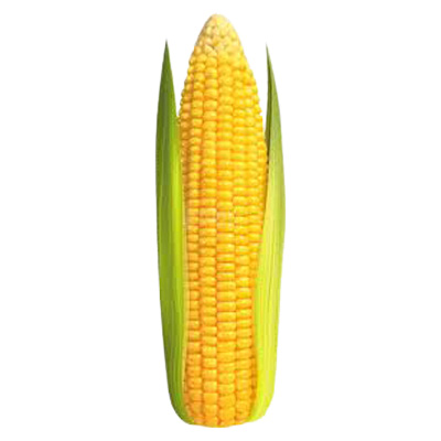 Corn On The Cob Each