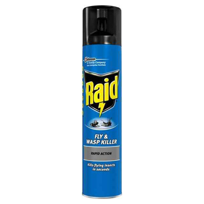 Raid Fly & Wasp Killer