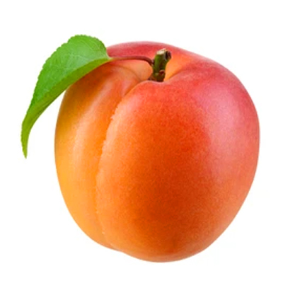 Apricot